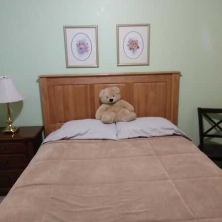 Hall Creek Cabin Packwood Bagian luar foto