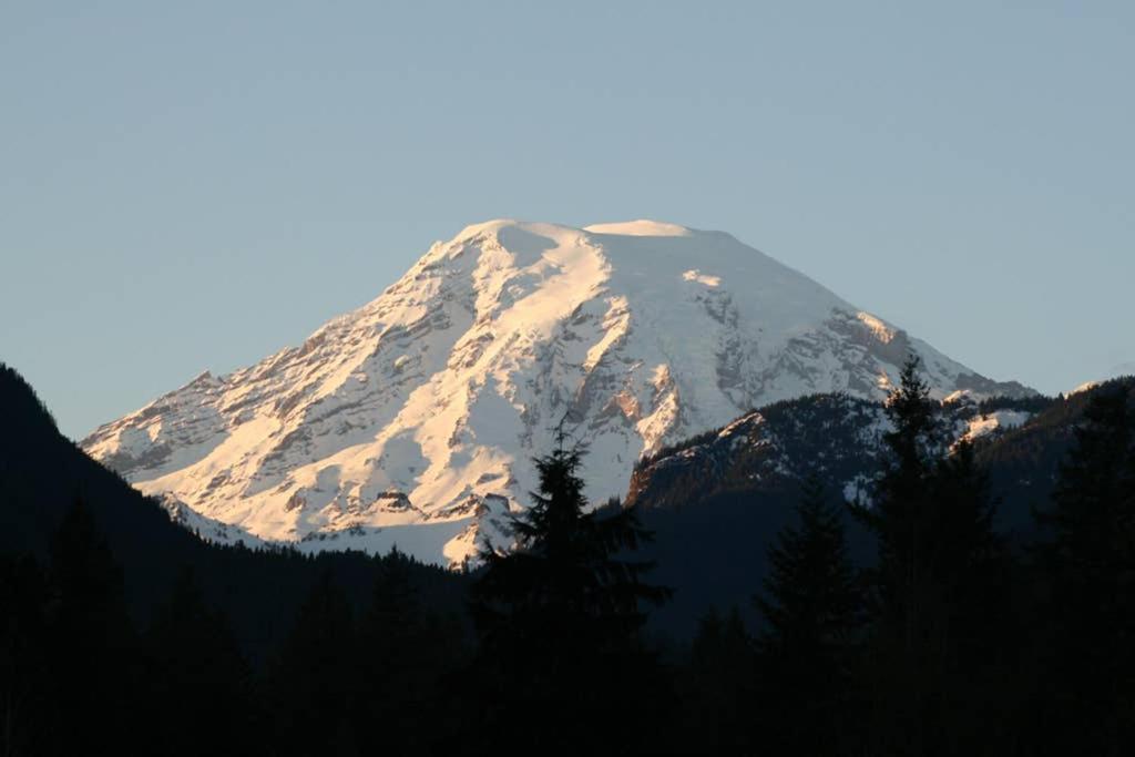 Hall Creek Cabin Packwood Bagian luar foto