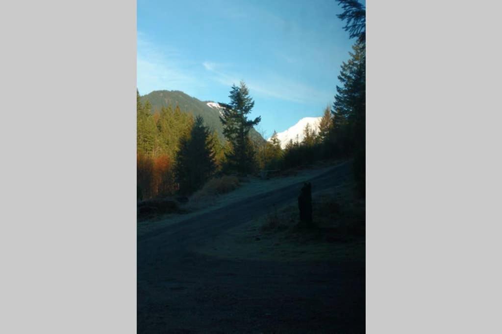 Hall Creek Cabin Packwood Bagian luar foto