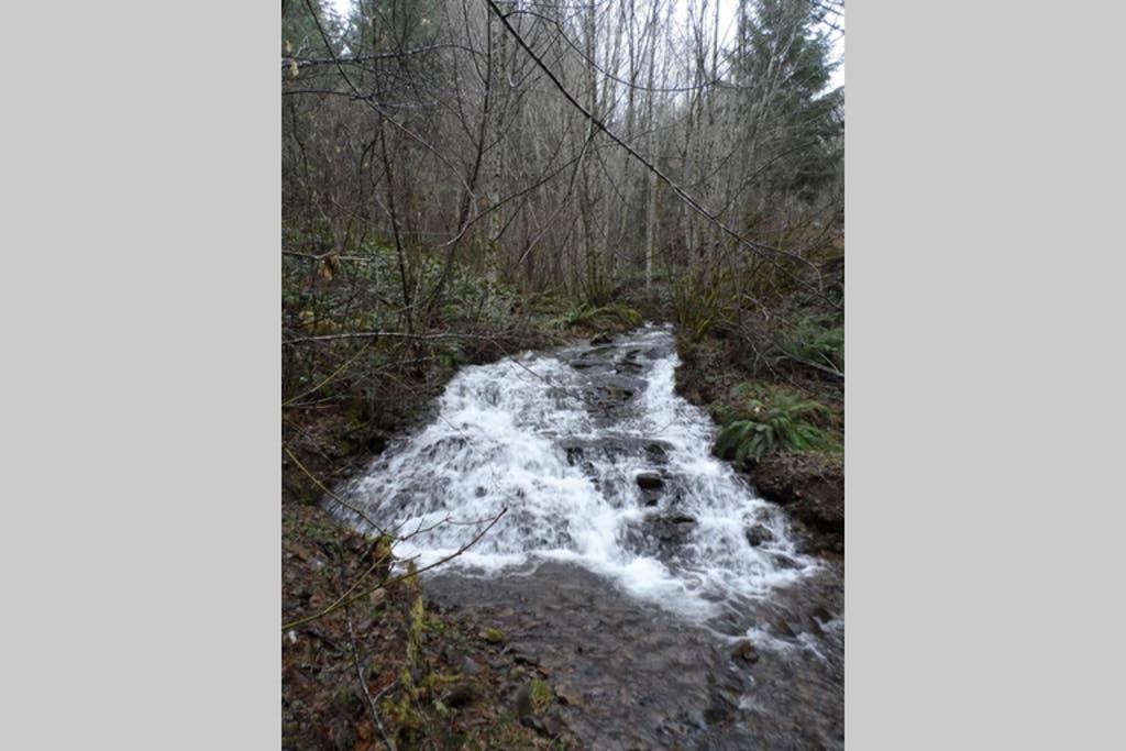 Hall Creek Cabin Packwood Bagian luar foto