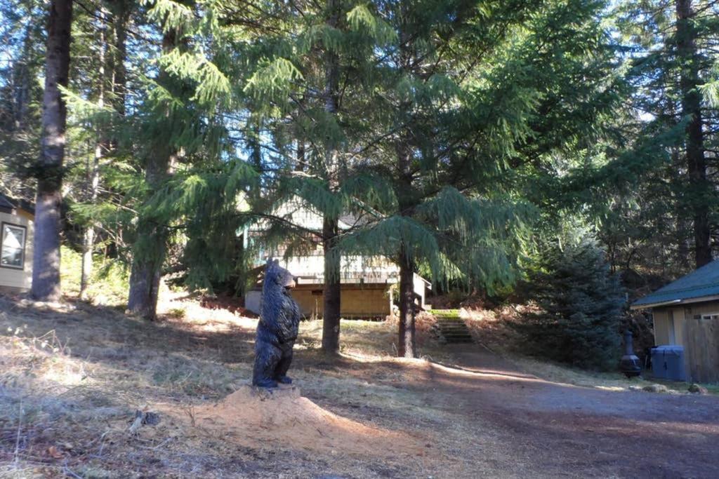 Hall Creek Cabin Packwood Bagian luar foto