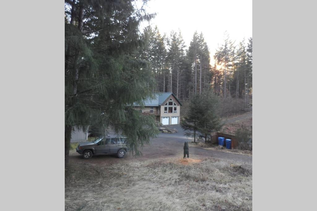 Hall Creek Cabin Packwood Bagian luar foto