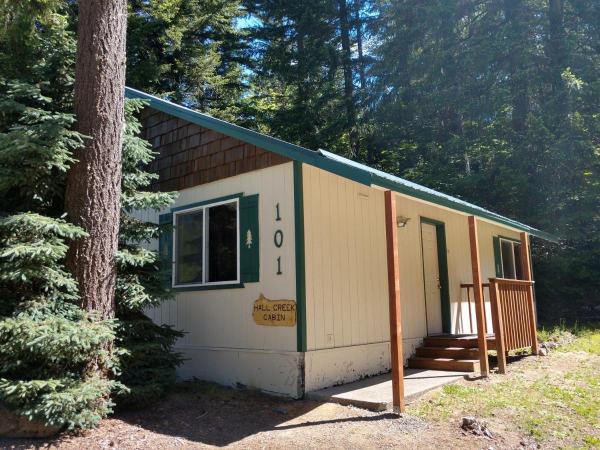 Hall Creek Cabin Packwood Bagian luar foto