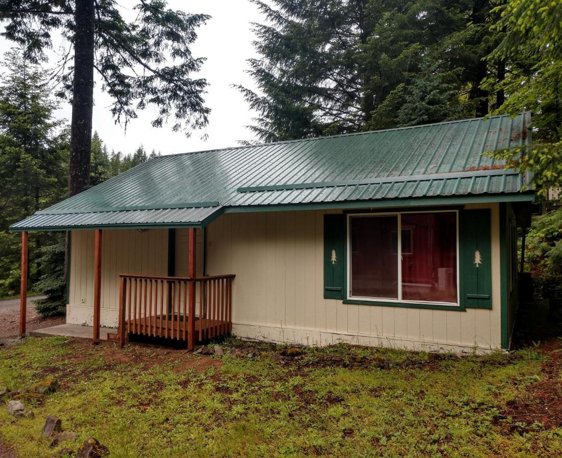 Hall Creek Cabin Packwood Bagian luar foto